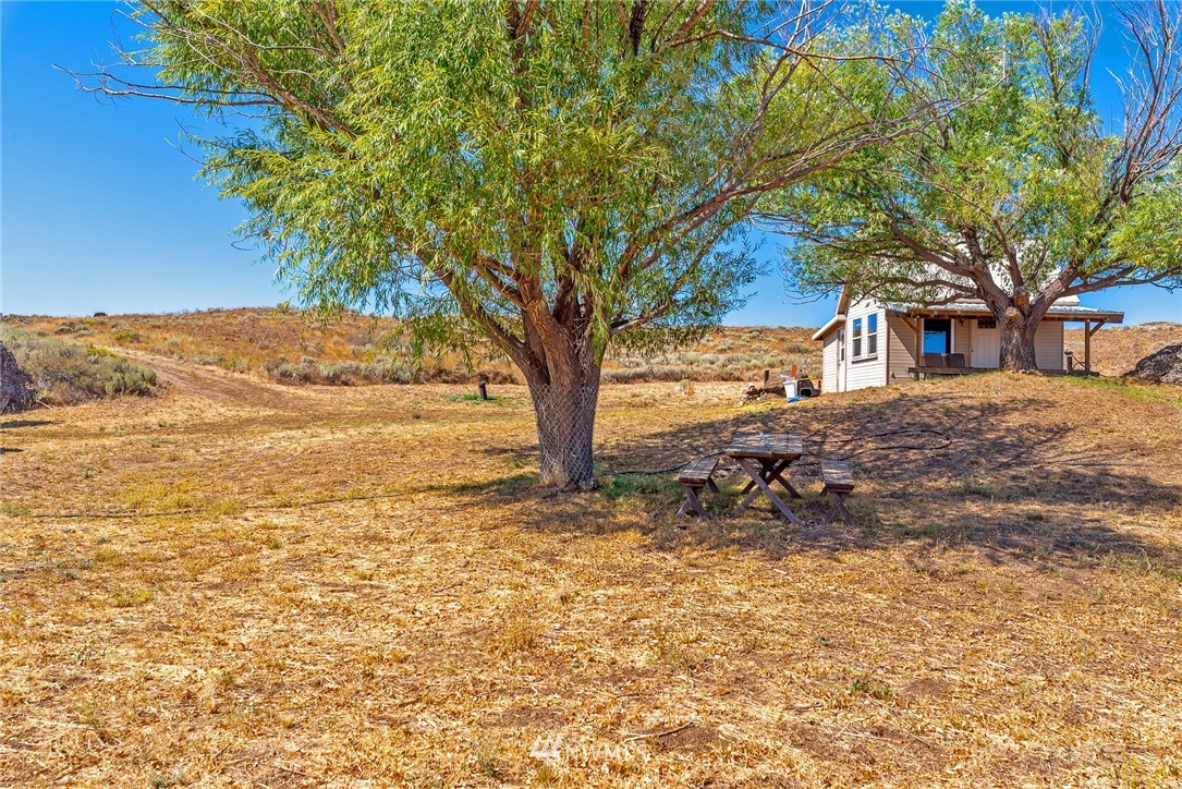 505 Rd 15th Street Northwest Waterville, WA 98858 - Photo 1 of 16 a view of a yard with a tree