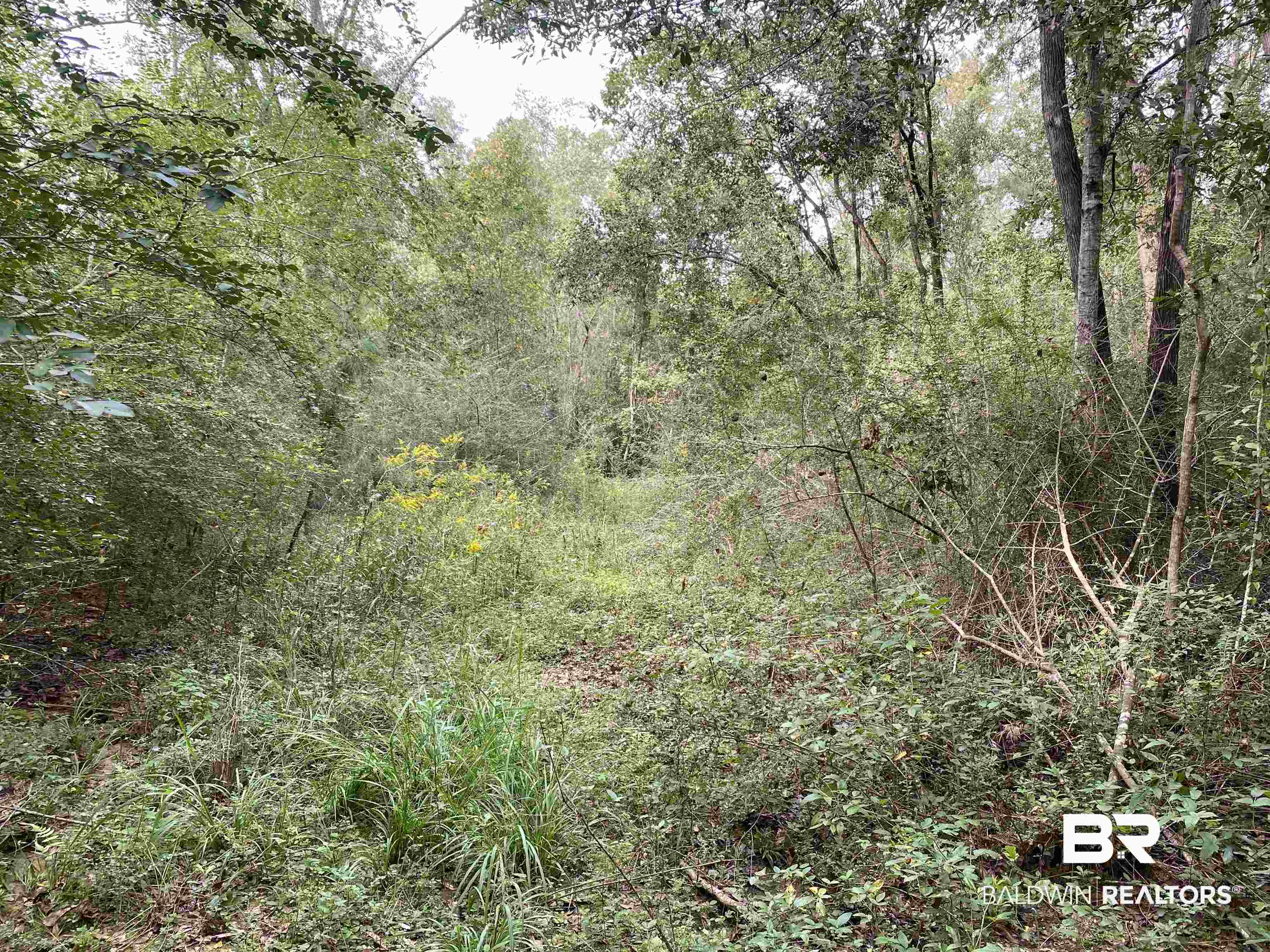 0 Dawson Road Loxley, AL 36551 - Photo 5 of 9 Gallery Image 5