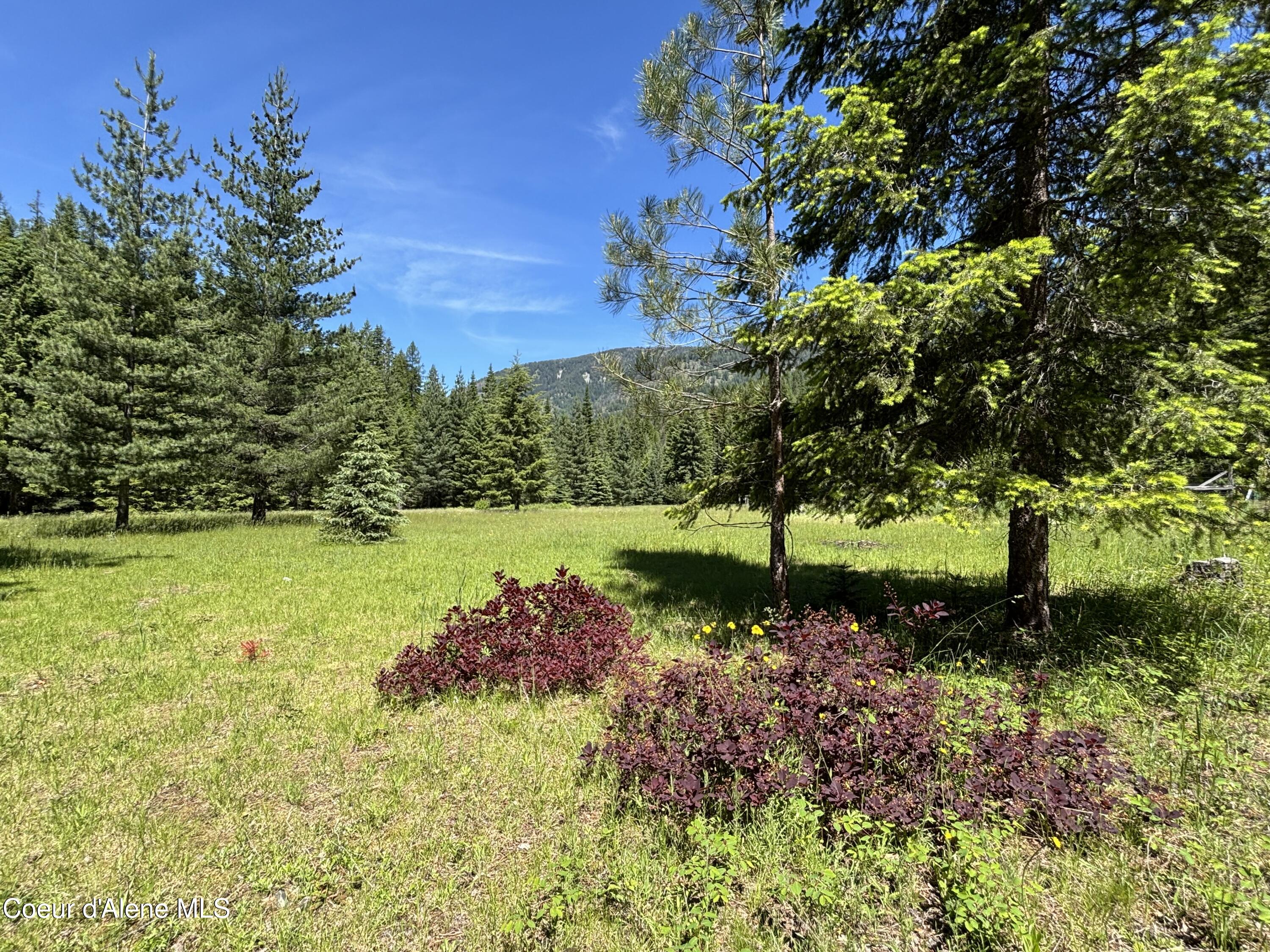 2216 Mosquito Creek Road Clark Fork, ID 83811 - Photo 4 of 47 004 Special property