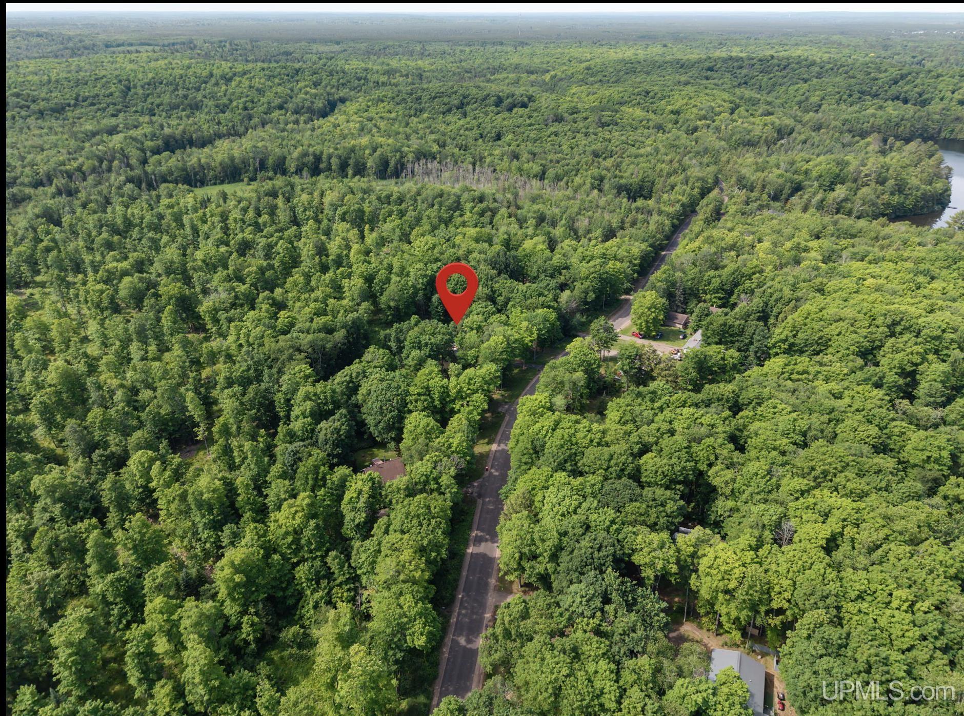 1658 Engman Lake Road Skandia, MI 49885 - Photo 32 of 50