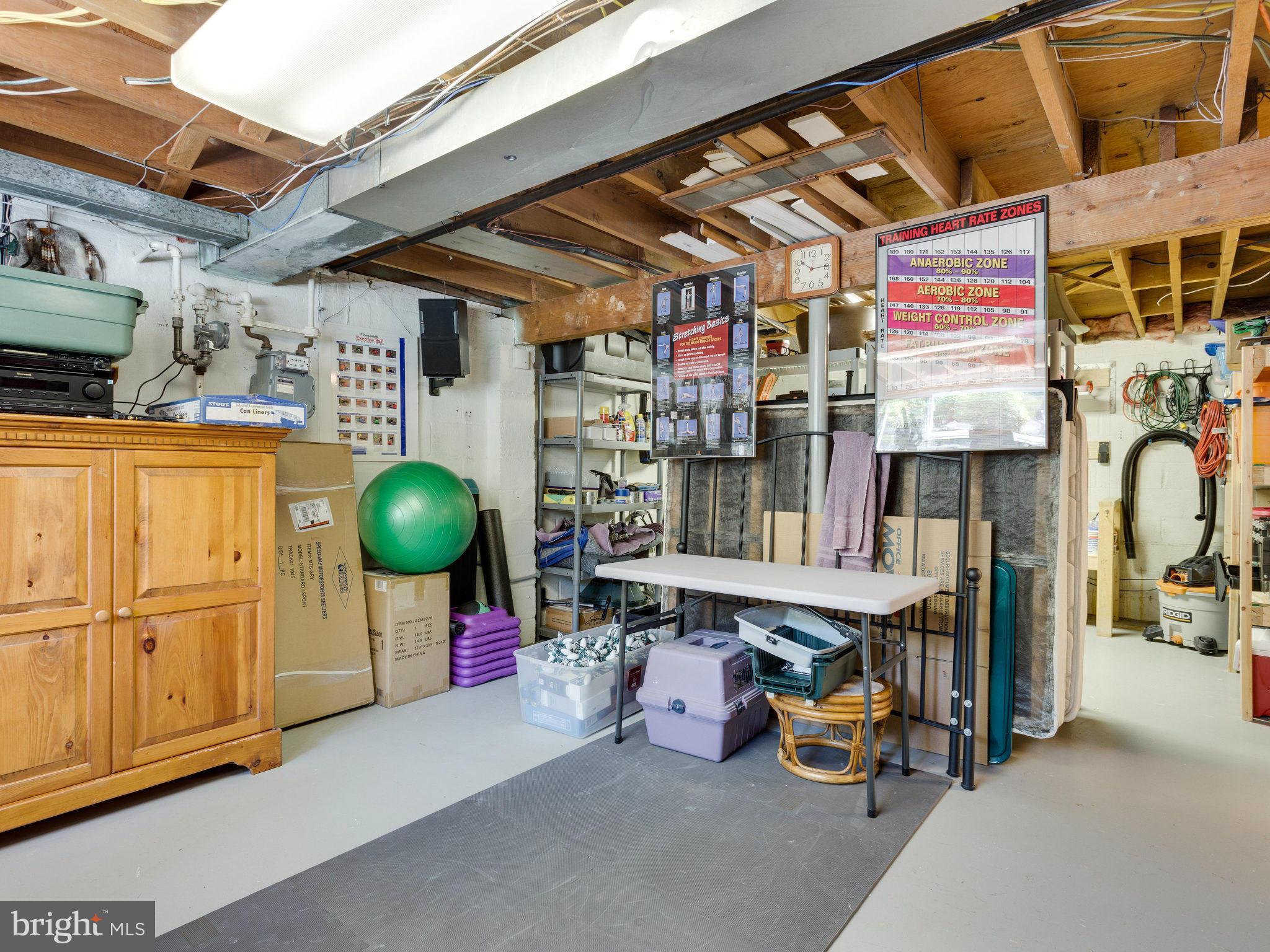 8908 Battery Road Alexandria, VA 22308 - Photo 28 of 30 Basement