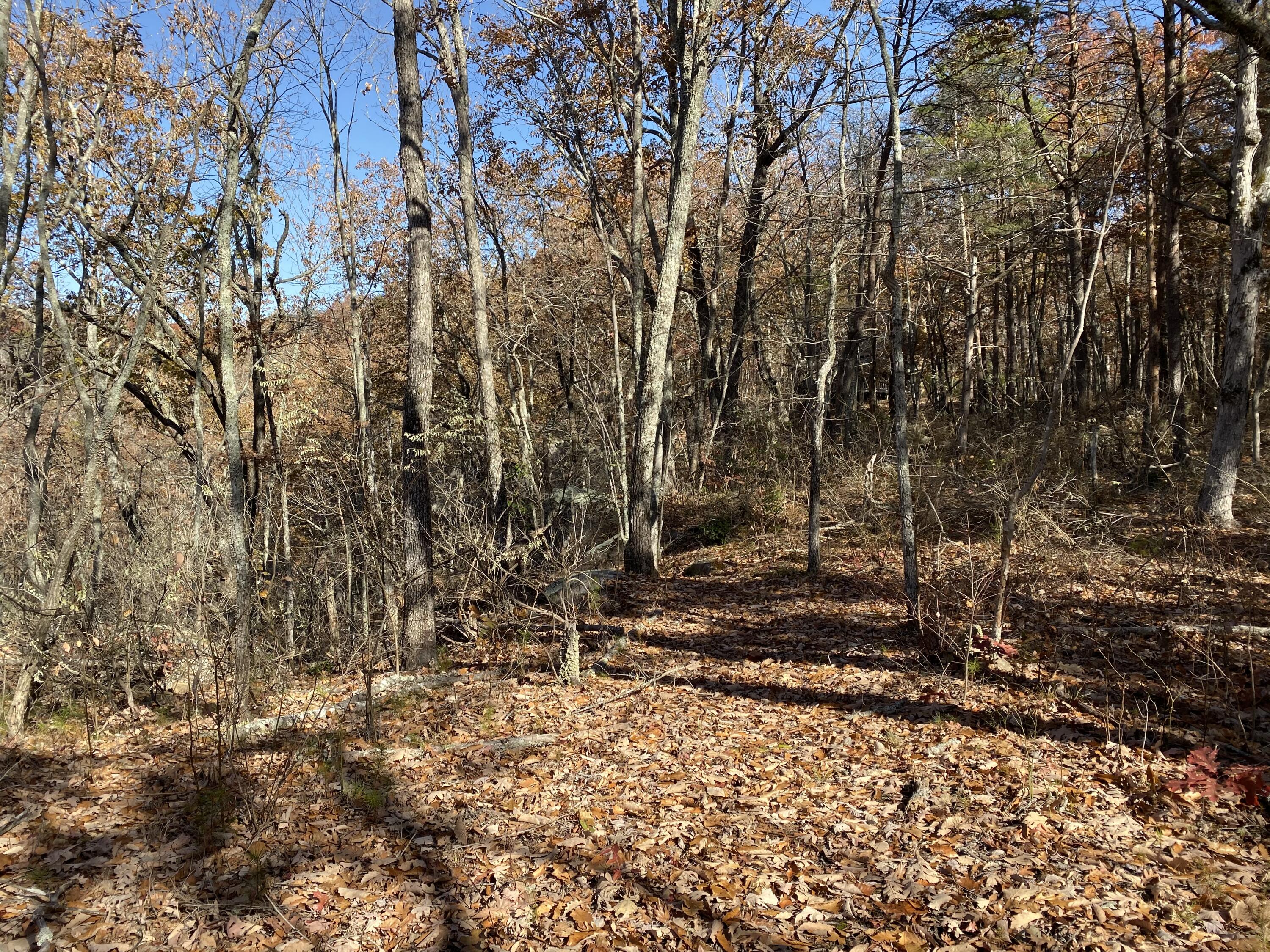 1401 Dale Trail Menlo, GA 30731 - Photo 16 of 22 MORE BUILDING SITES