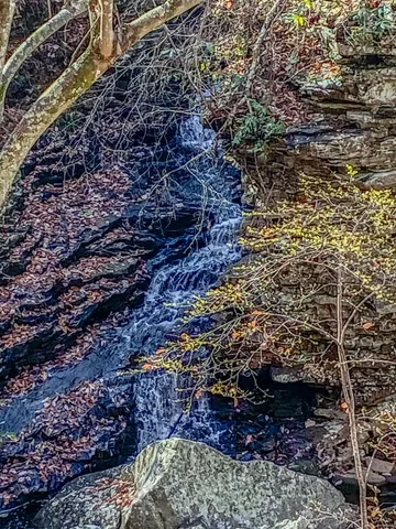 $850,000 | 1401 Dale Trail, Menlo, GA 30731