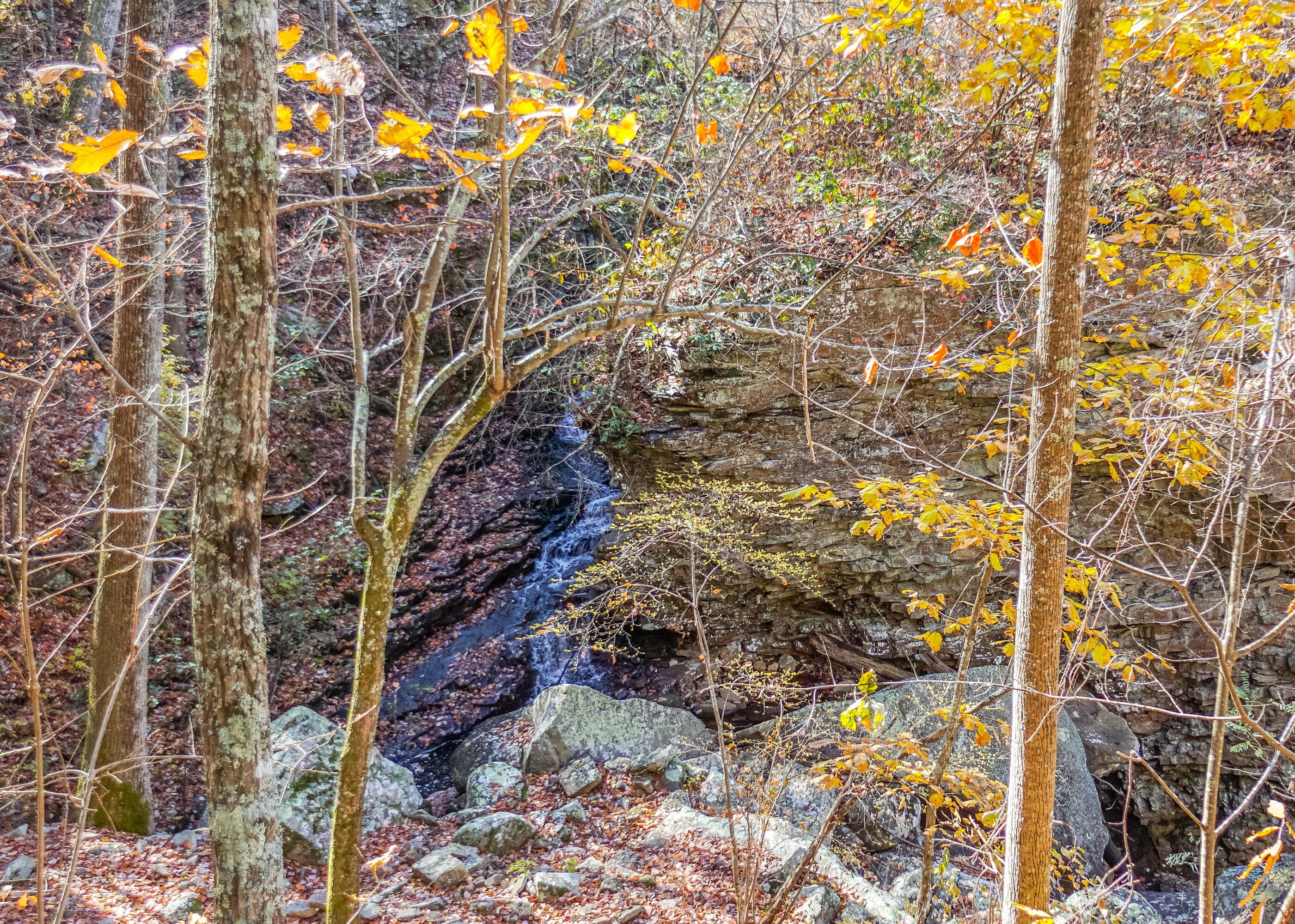 1401 Dale Trail Menlo, GA 30731 - Photo 19 of 22 Waterfall Abound