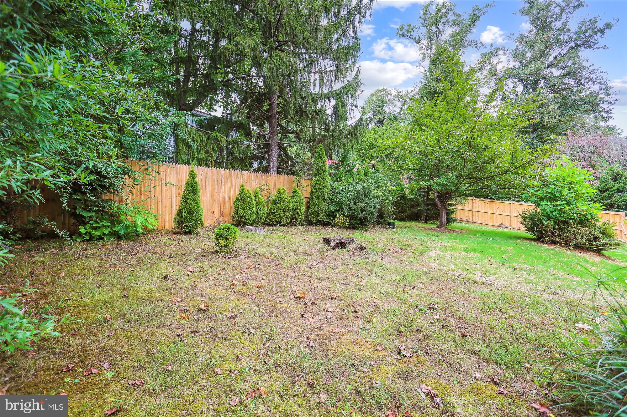 9206 Friars Road Bethesda, MD 20817 - Photo 34 of 34 Back Yard