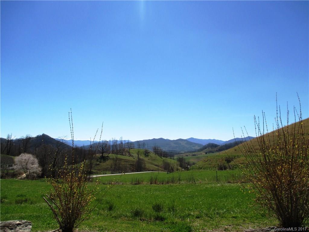 807 Silvers Cove Road Clyde, NC 28721 - Photo 14 of 15
