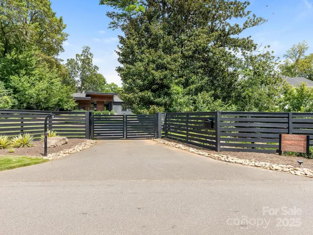 a view of a backyard with plants and trees