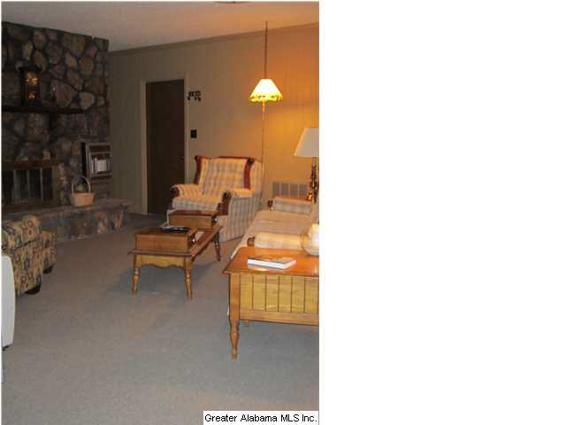 6168 Old Springville Road Pinson, AL 35126 - Photo 18 of 22
