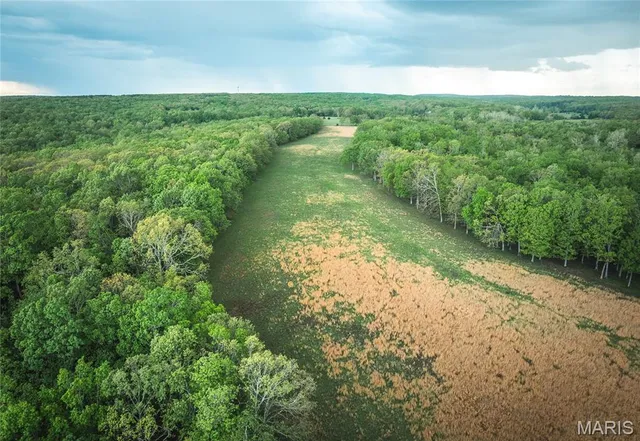 $469,158 | 0 Highway T Other Mo 63645, Fredericktown, MO 63645