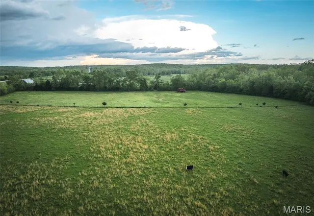 $469,158 | 0 Highway T Other Mo 63645, Fredericktown, MO 63645