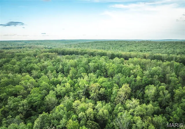 $469,158 | 0 Highway T Other Mo 63645, Fredericktown, MO 63645