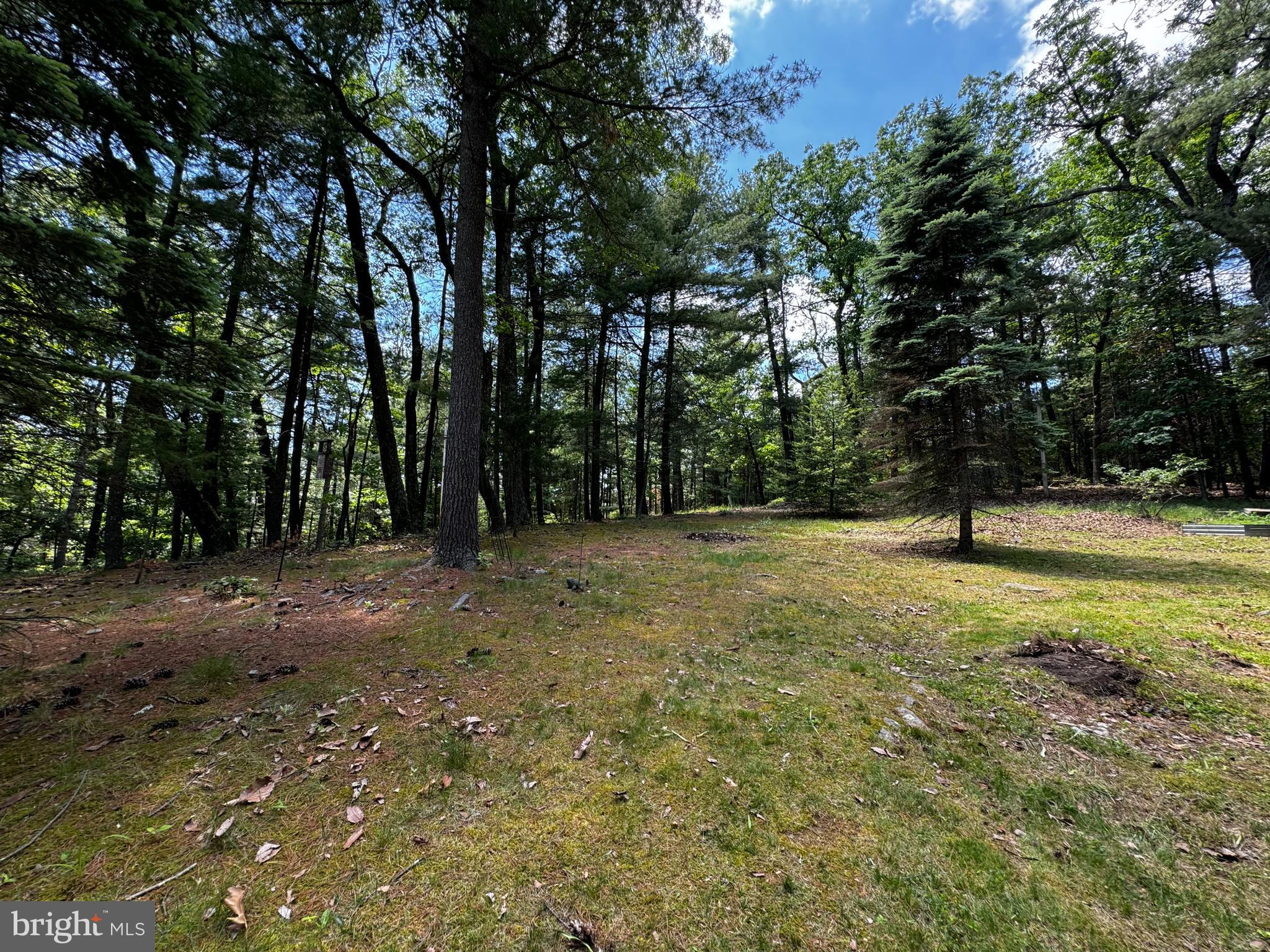 393 South Maple Road Mount Jackson, VA 22842 - Photo 16 of 28 Beautiful private yard
