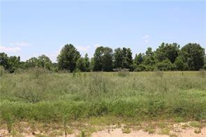 Lot 15 Zack Magee Road Angie, LA 70426 - Photo 4 of 4 Gallery Image 4