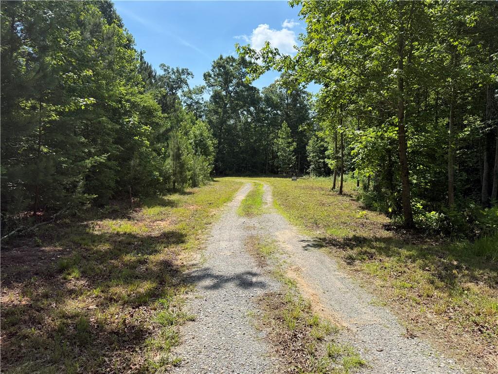 20-ac Ellijay Road Talking Rock, GA 30175 - Photo 3 of 9