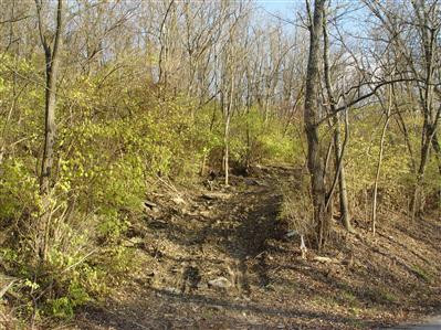 9825 Marshall Road Latonia, KY 41015 - Photo 1 of 1 Gallery Image 1