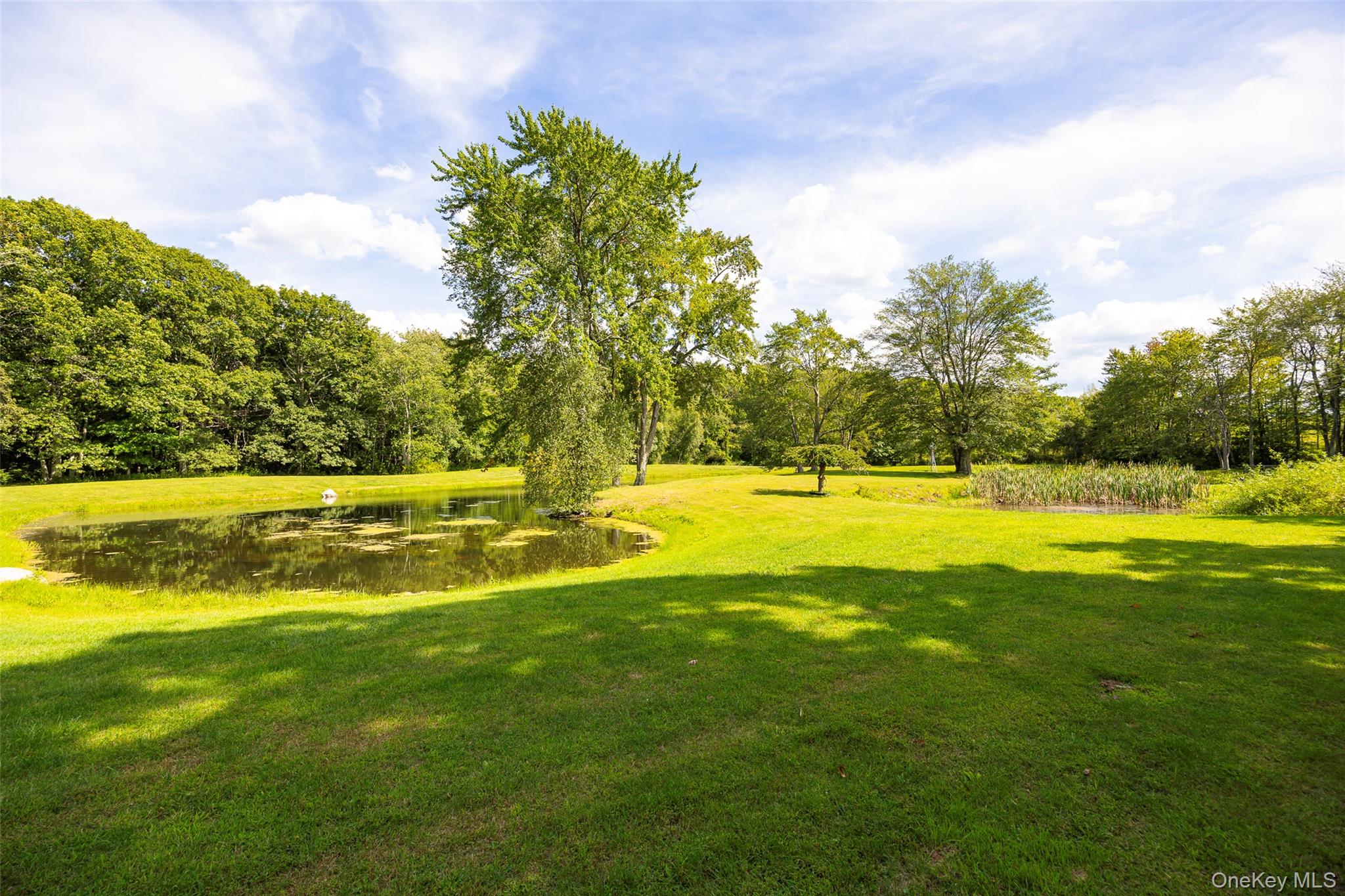 89 Deer Pond Road Verbank, NY 12585 - Photo 39 of 40