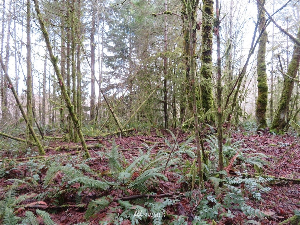 -xxx Berry Road Chehalis, WA 98532 - Photo 2 of 23 Gallery Image 2