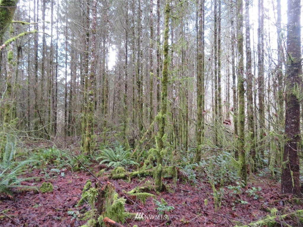 -xxx Berry Road Chehalis, WA 98532 - Photo 11 of 23 Gallery Image 11