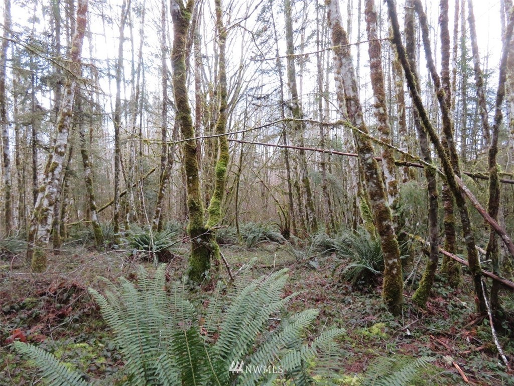 -xxx Berry Road Chehalis, WA 98532 - Photo 12 of 23 Gallery Image 12