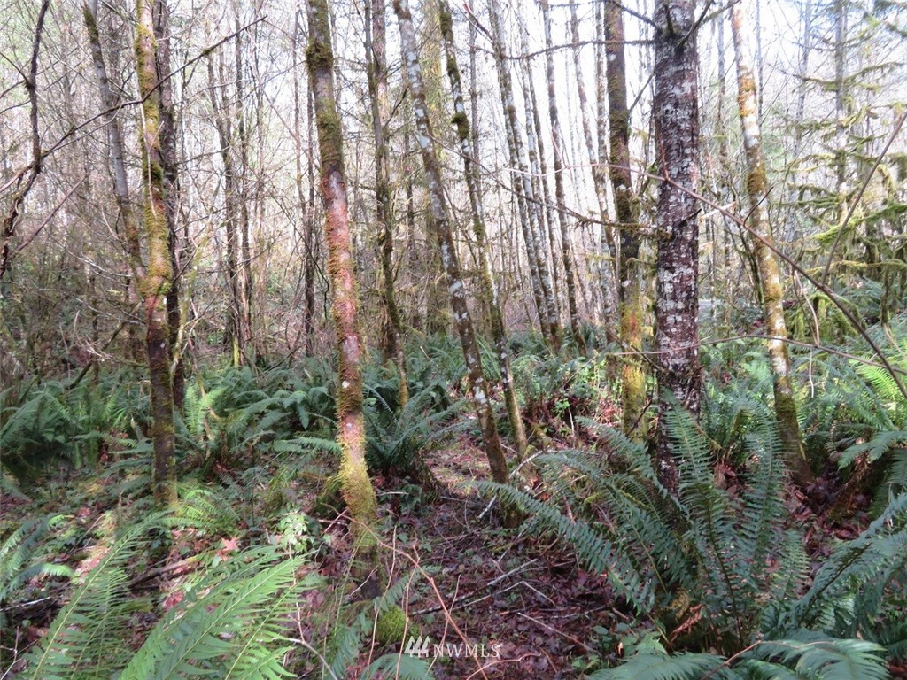-xxx Berry Road Chehalis, WA 98532 - Photo 13 of 23 Gallery Image 13