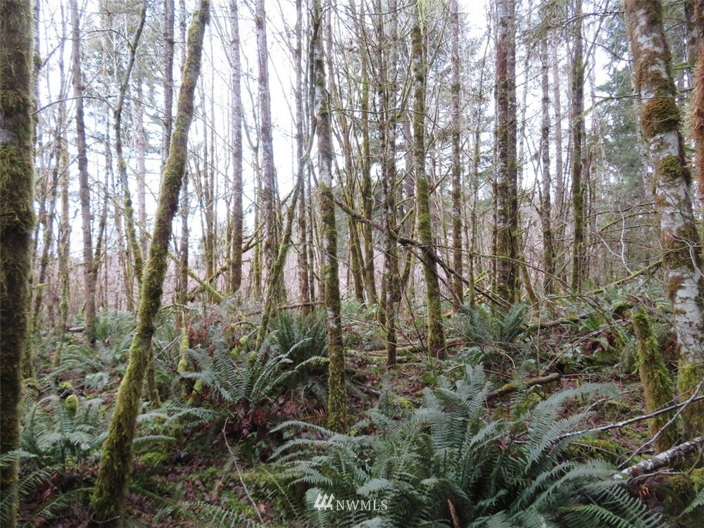 -xxx Berry Road Chehalis, WA 98532 - Photo 18 of 23 Gallery Image 18