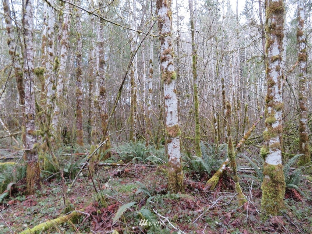 -xxx Berry Road Chehalis, WA 98532 - Photo 20 of 23 Gallery Image 20
