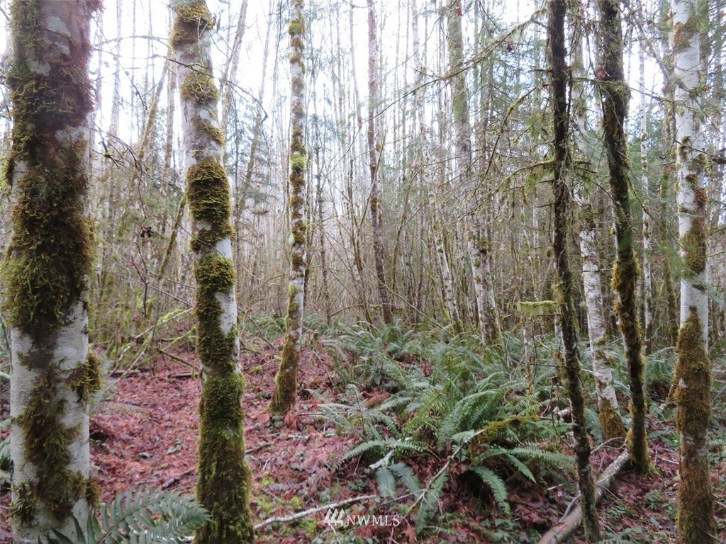 -xxx Berry Road Chehalis, WA 98532 - Photo 21 of 23 Gallery Image 21