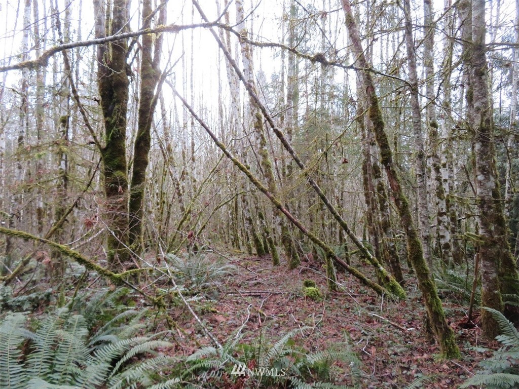 -xxx Berry Road Chehalis, WA 98532 - Photo 22 of 23 Gallery Image 22