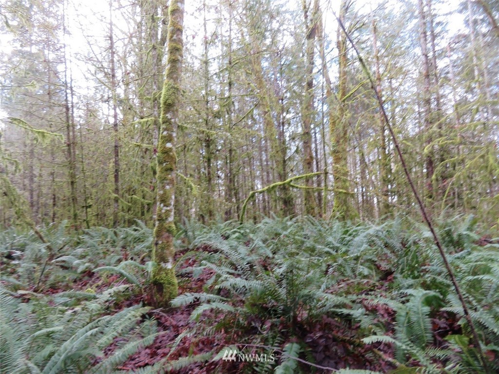 -xxx Berry Road Chehalis, WA 98532 - Photo 23 of 23 Gallery Image 23