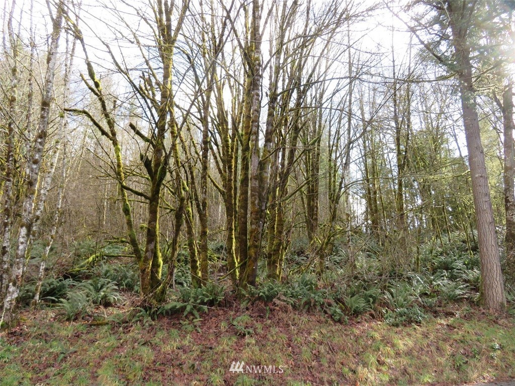 -xxx Berry Road Chehalis, WA 98532 - Photo 6 of 23 Gallery Image 6