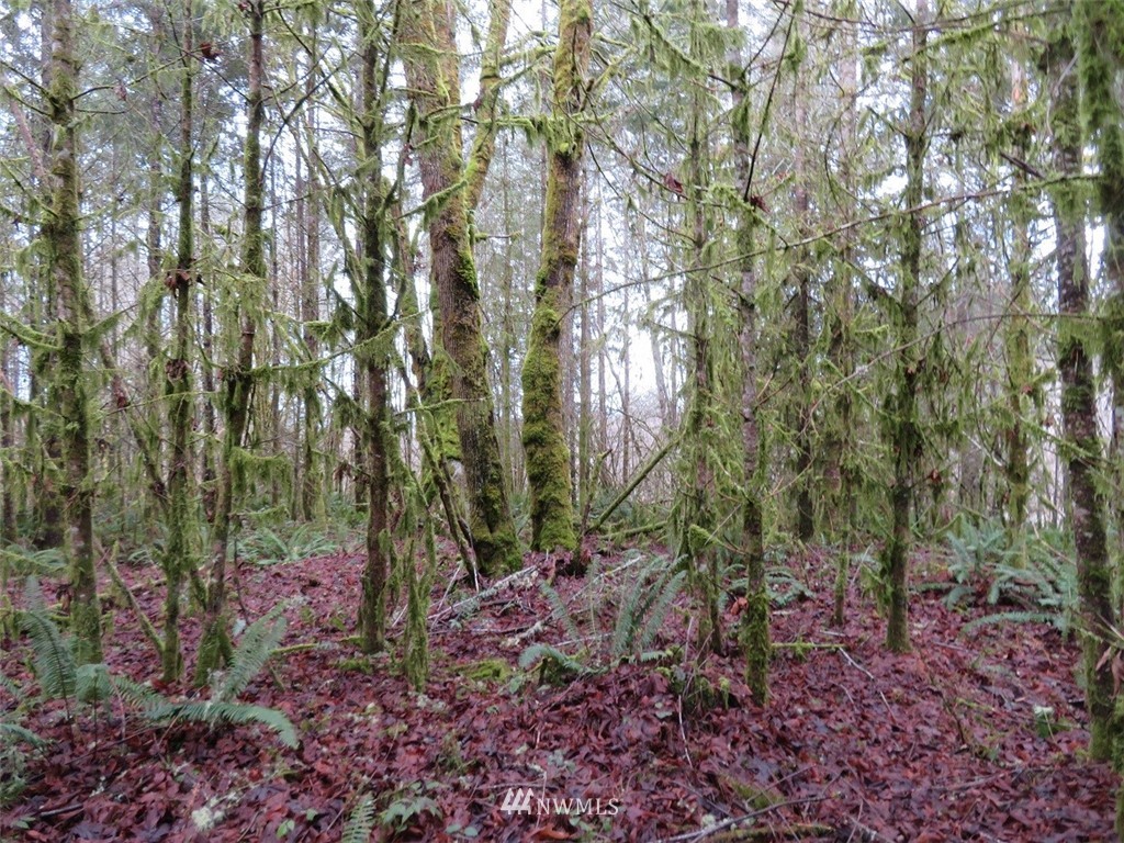 -xxx Berry Road Chehalis, WA 98532 - Photo 7 of 23 Gallery Image 7