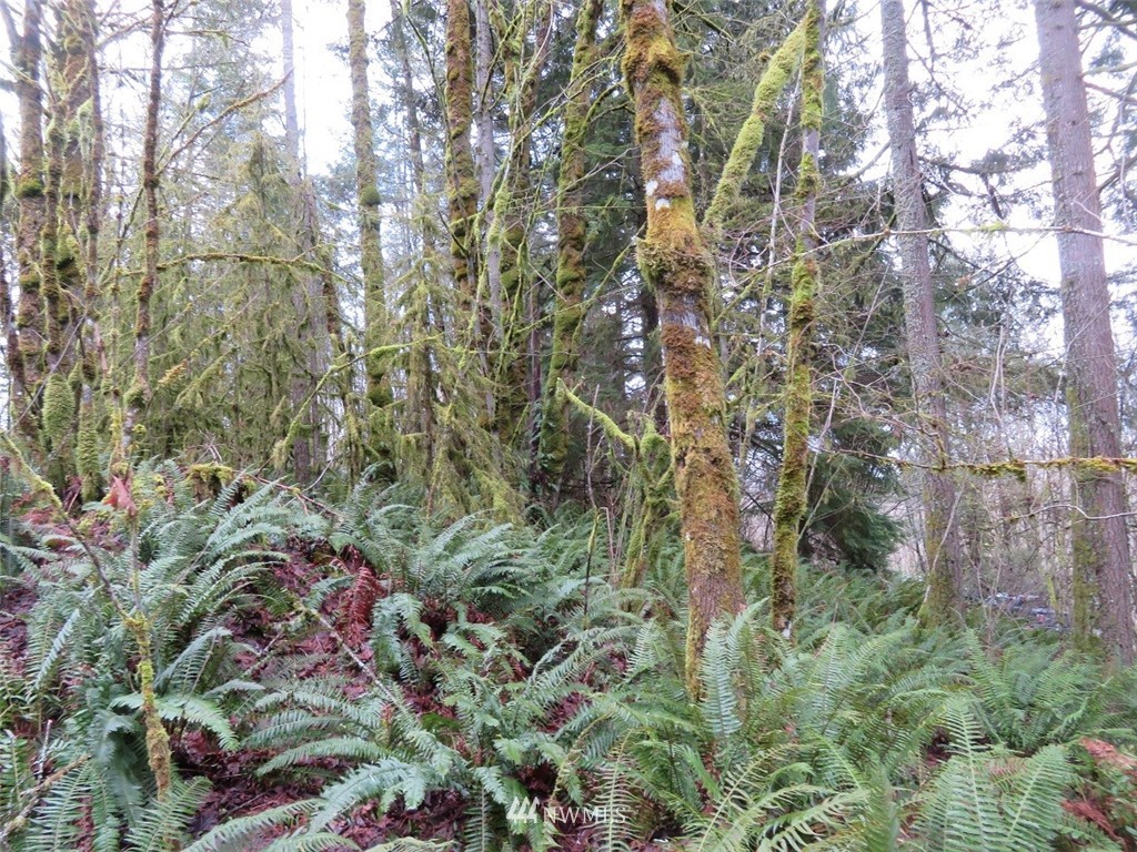-xxx Berry Road Chehalis, WA 98532 - Photo 8 of 23 Gallery Image 8