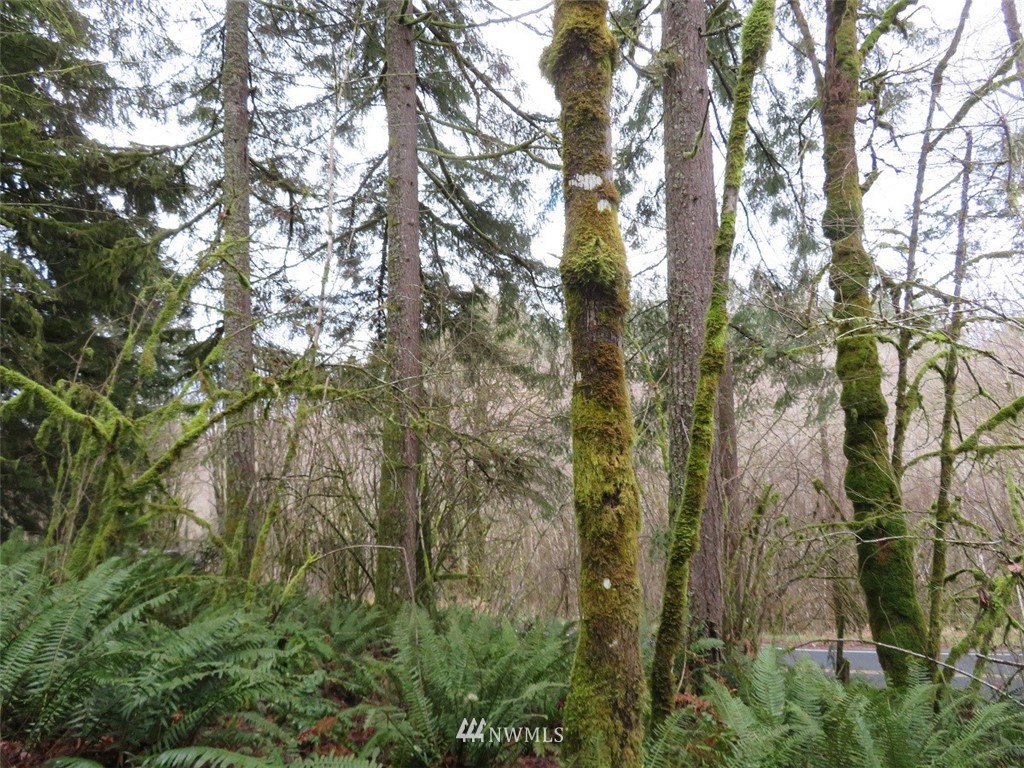 -xxx Berry Road Chehalis, WA 98532 - Photo 9 of 23 Gallery Image 9
