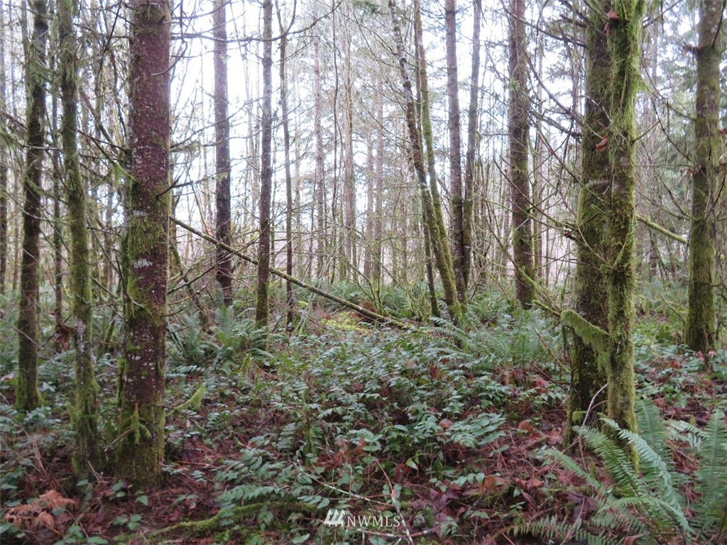 -xxx Berry Road Chehalis, WA 98532 - Photo 10 of 23 Gallery Image 10