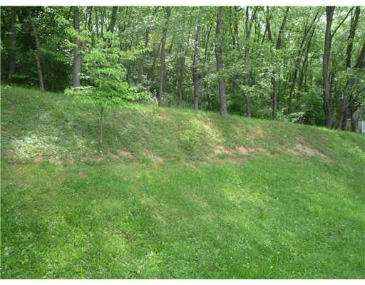 452 Highway 356 Apollo, PA 15613 - Photo 18 of 18 Yard/Garden.