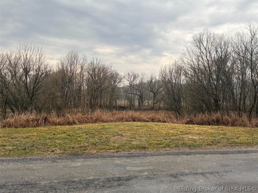 2256 North Brooksburg Manville Road Madison, IN 47250 - Photo 2 of 9