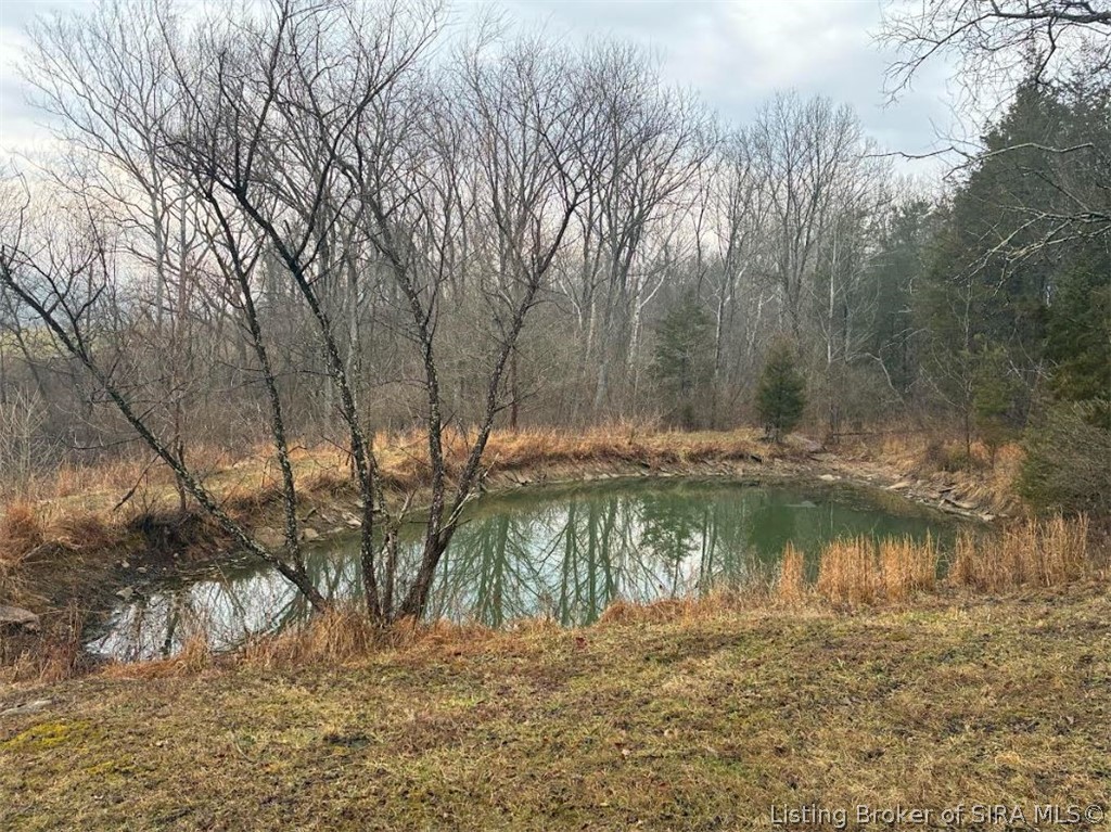 2256 North Brooksburg Manville Road Madison, IN 47250 - Photo 3 of 9