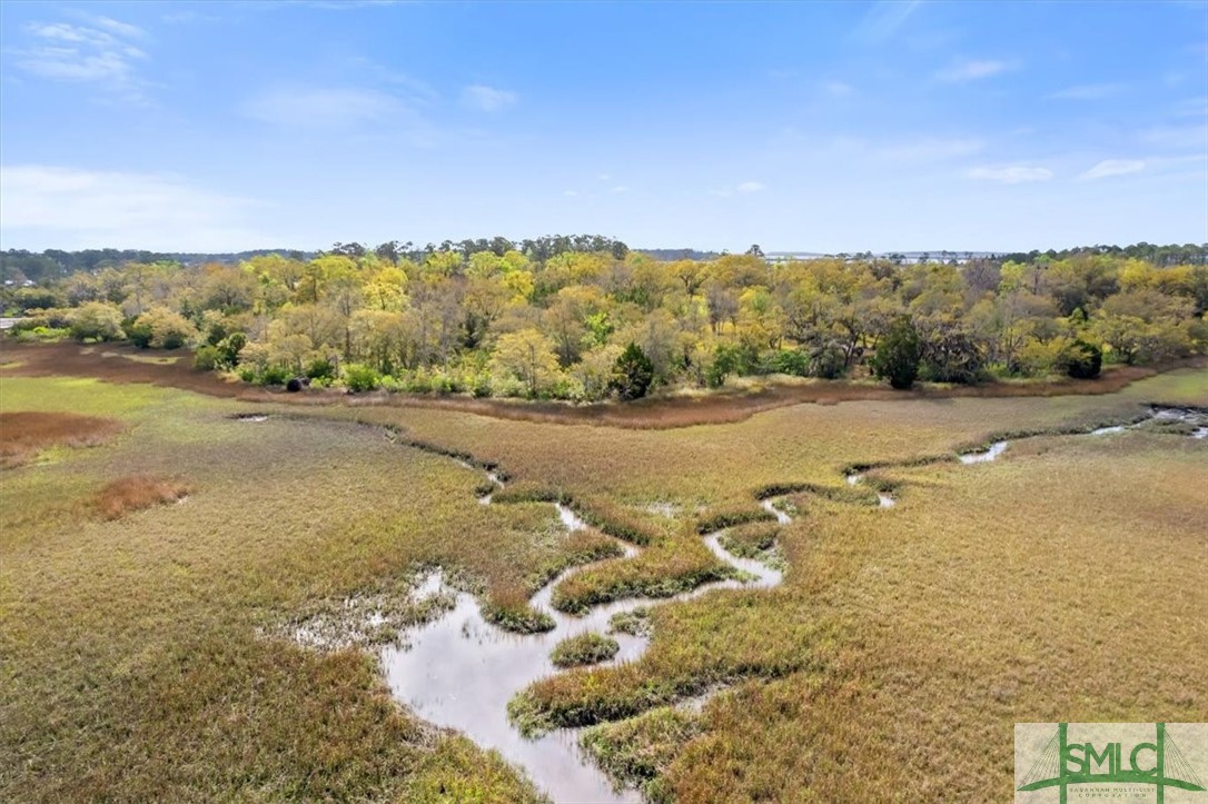 Lot 21 Bermuda Bluff Lane Midway, GA 31320 - Photo 11 of 31
