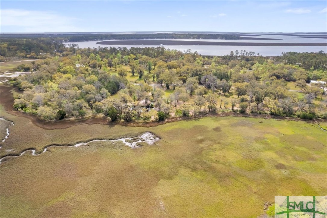 Lot 21 Bermuda Bluff Lane Midway, GA 31320 - Photo 13 of 31