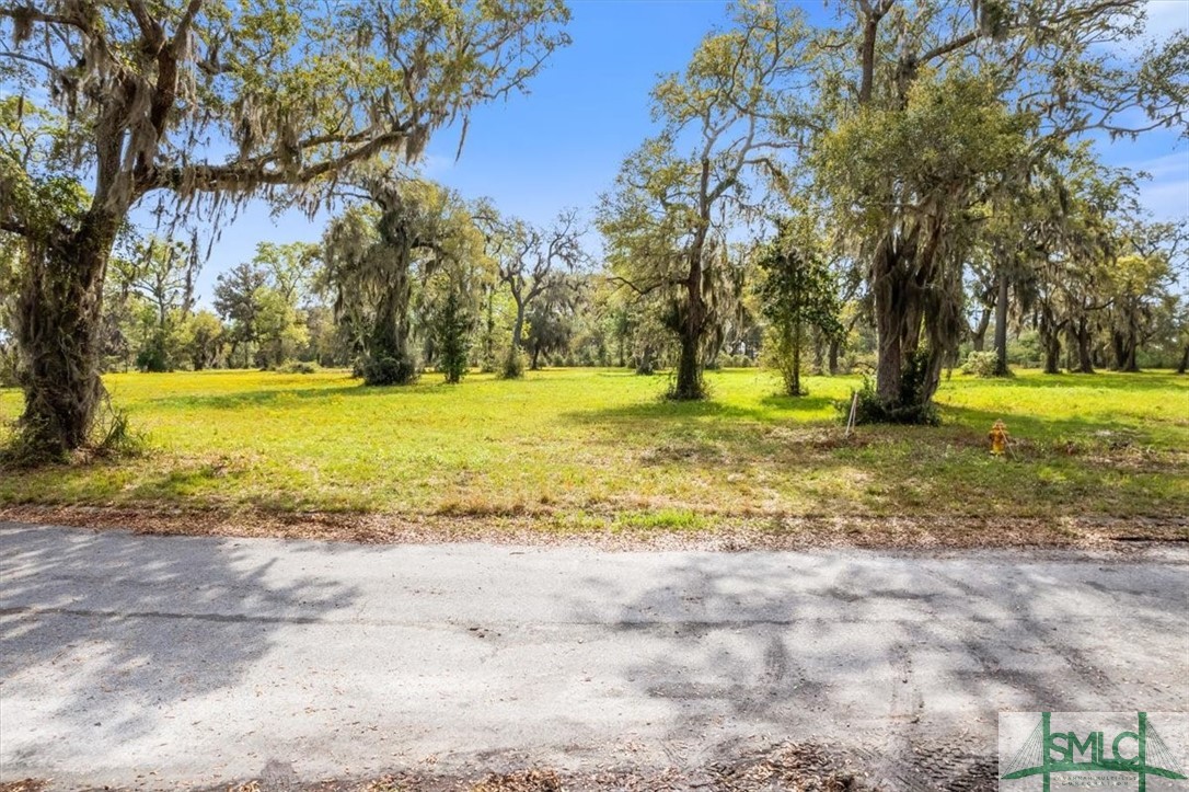 Lot 21 Bermuda Bluff Lane Midway, GA 31320 - Photo 7 of 31