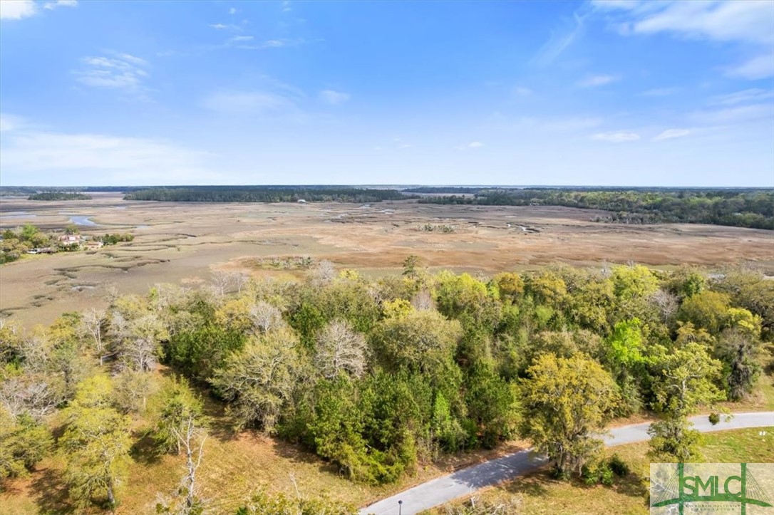 Lot 21 Bermuda Bluff Lane Midway, GA 31320 - Photo 9 of 31