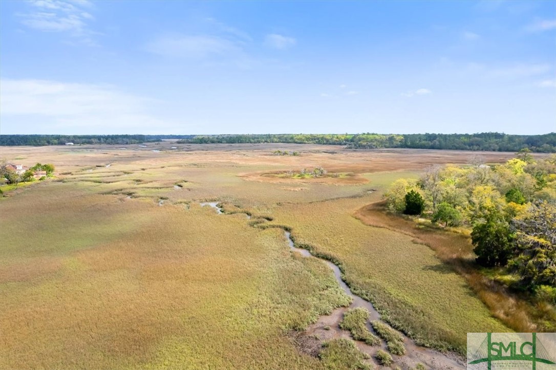 Lot 21 Bermuda Bluff Lane Midway, GA 31320 - Photo 10 of 31