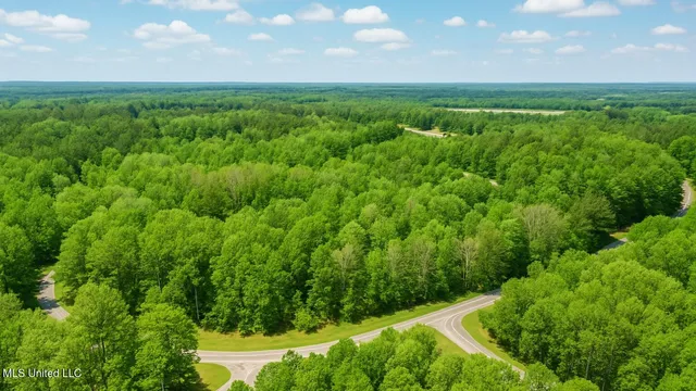 $154,900 | 4141 Cr New Site Ms 38859, New Site, MS 38859