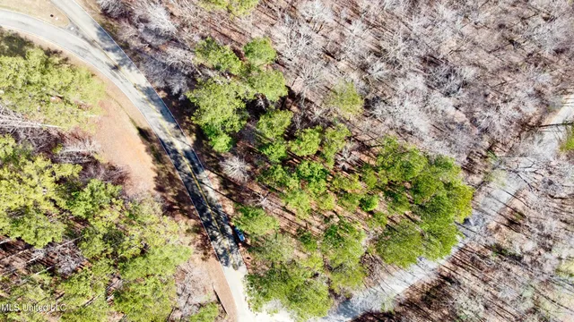 $154,900 | 4141 Cr New Site Ms 38859, New Site, MS 38859