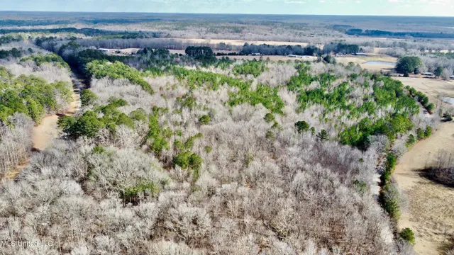 $154,900 | 4141 Cr New Site Ms 38859, New Site, MS 38859