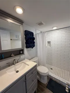 a bathroom with a sink toilet and shower