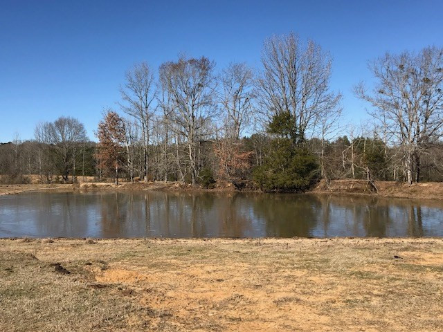 0 Franklin Road Goodman, MS 39079 - Photo 1 of 15 Photo 1