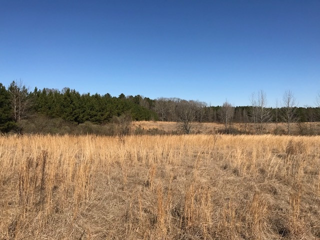 0 Franklin Road Goodman, MS 39079 - Photo 6 of 15 Photo 6