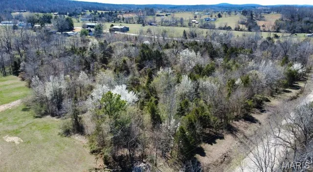 $38,000 | 72-210 Lot 1 Highway, Fredericktown, MO 63645