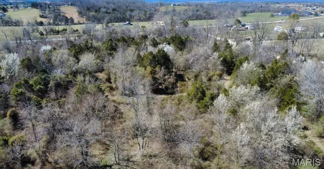 $38,000 | 72-210 Lot 1 Highway, Fredericktown, MO 63645